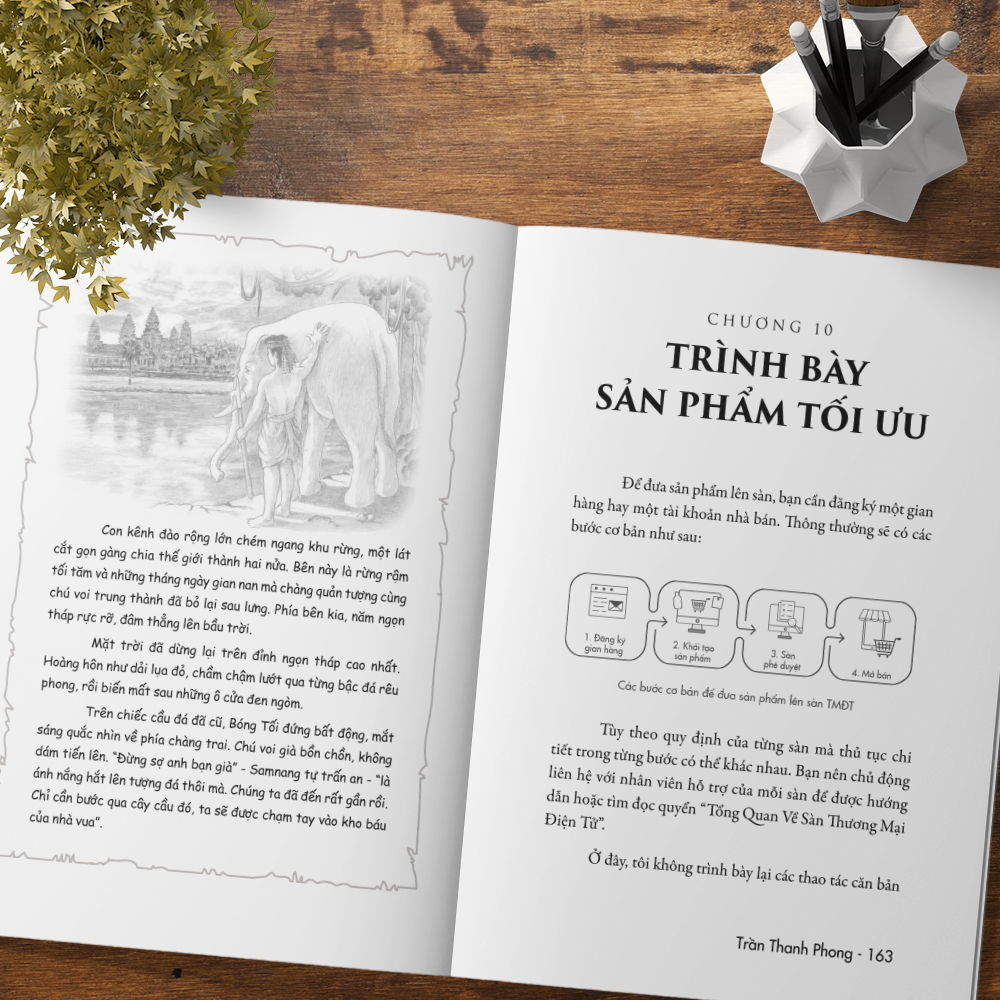 trên lưng khổng tượng - kinh doanh online trên sàn thương mại điện tử