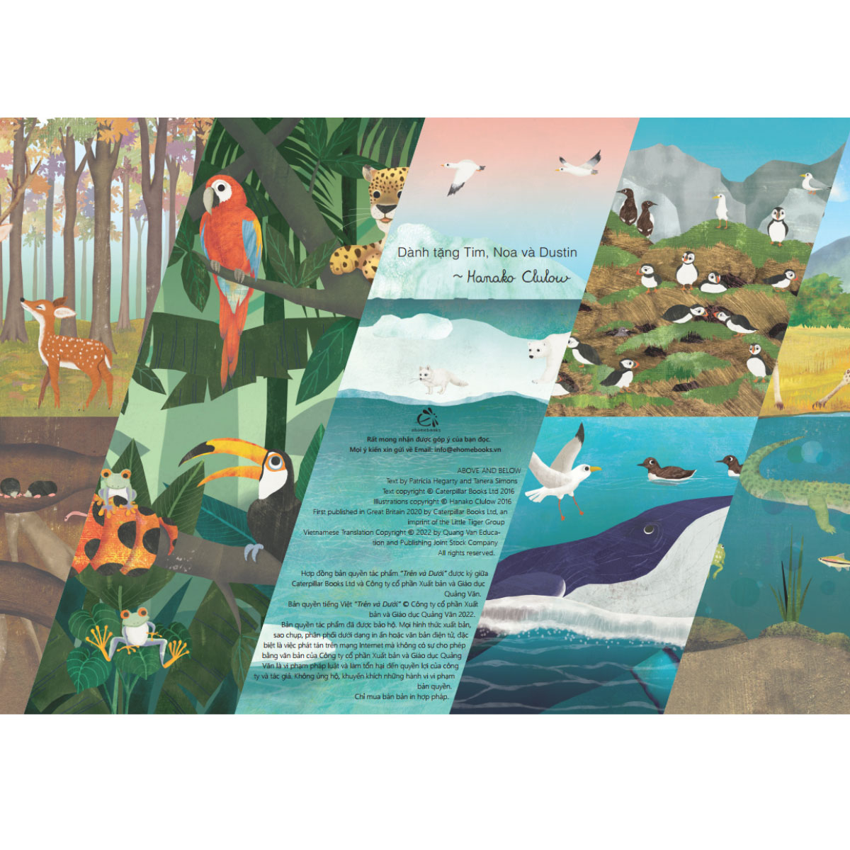 Trên Và Dưới - Above And Below