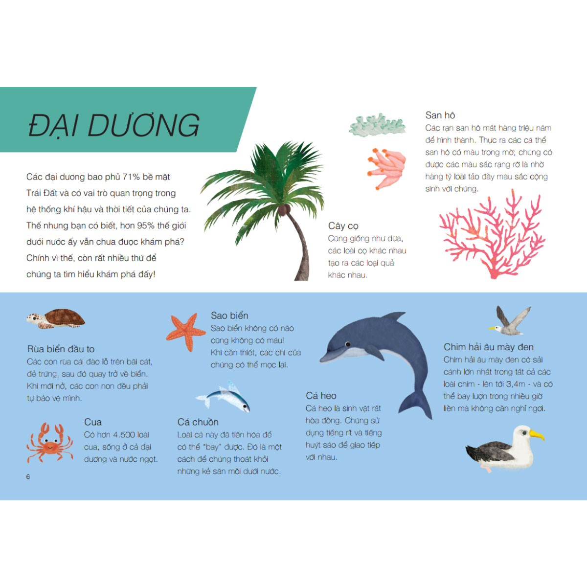 Trên Và Dưới - Above And Below