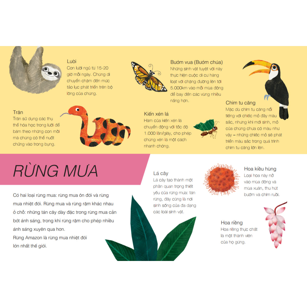 Trên Và Dưới - Above And Below