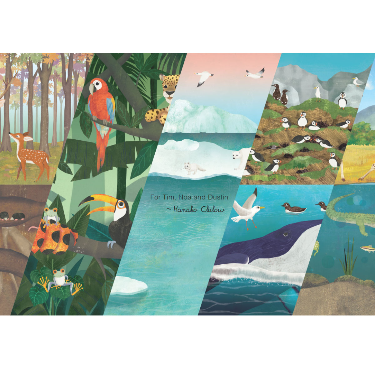 Trên Và Dưới - Above And Below