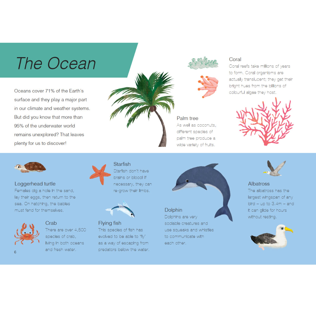 Trên Và Dưới - Above And Below