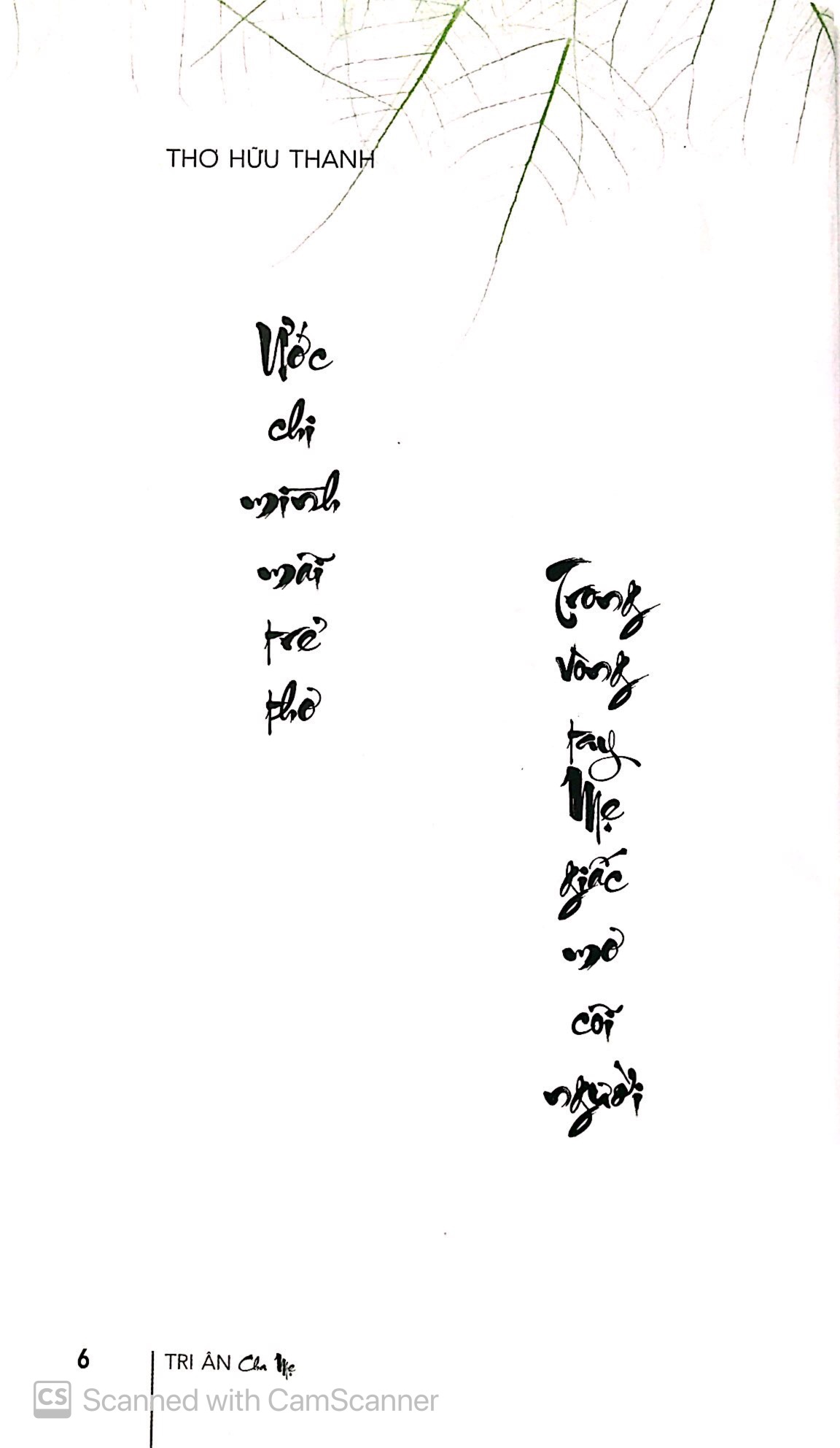 tri ân cha mẹ_ tuyển tập thư pháp