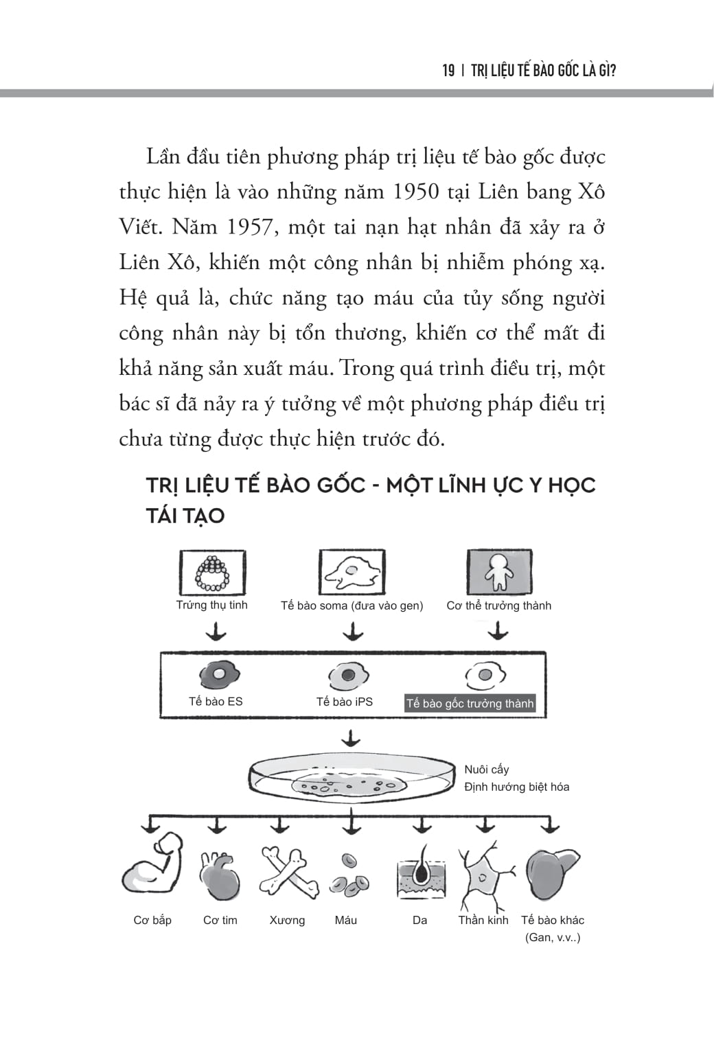 Tri Lieu Te Bao Goc - Cai Thien Tu Ky Va Roi Loan Phat Trien