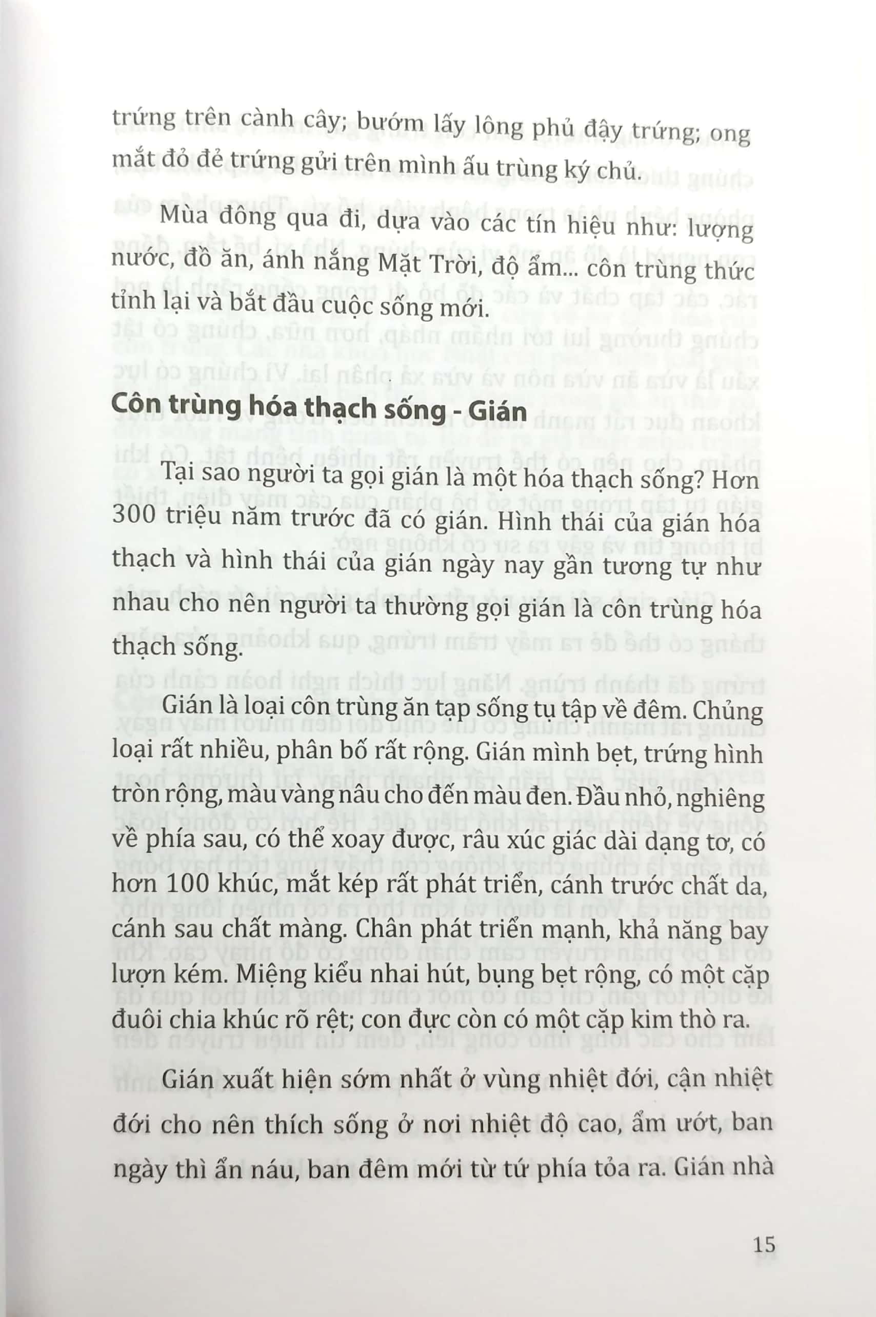 tri thức bách khoa - côn trùng, động vật, con người, thực vật