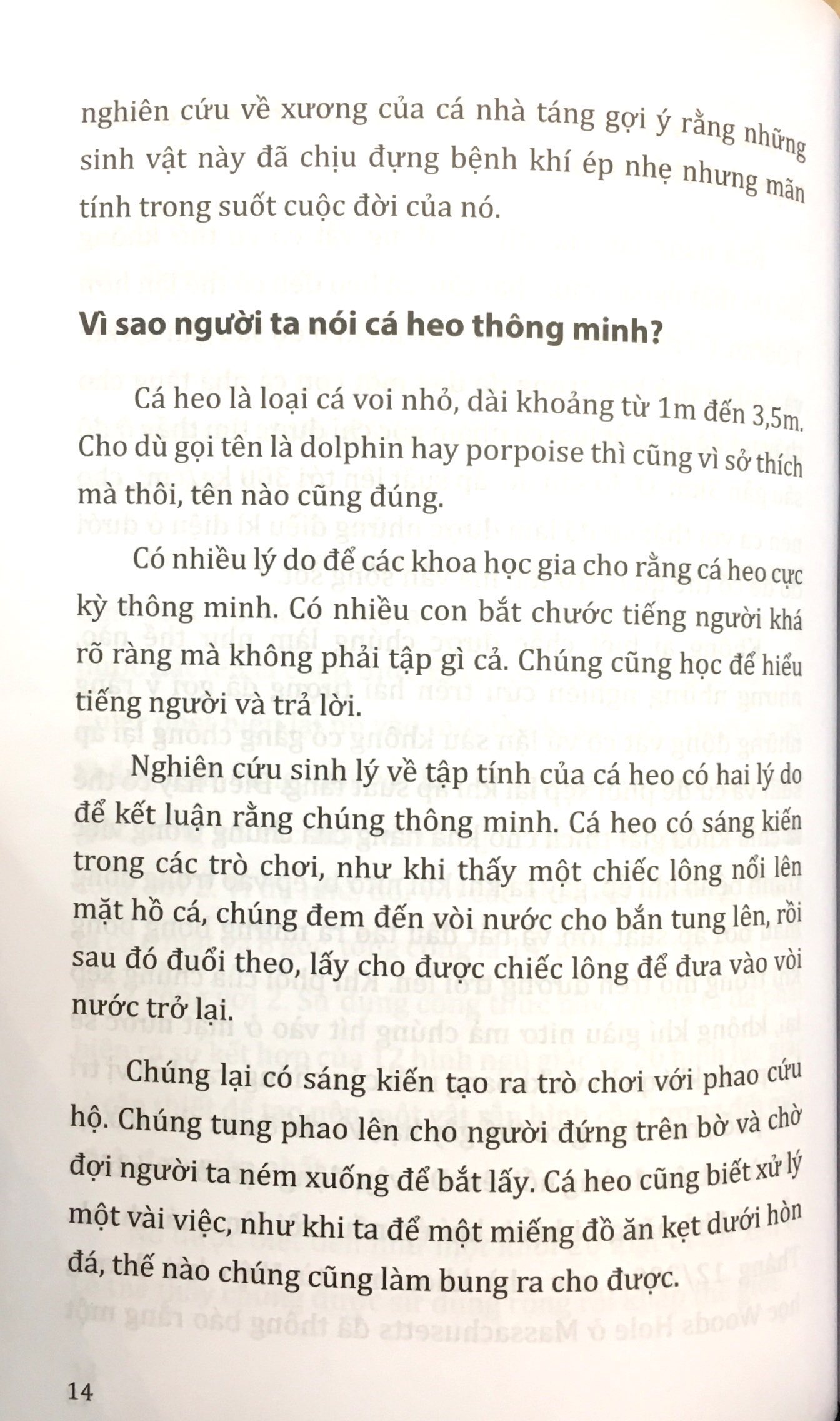 tri thức bách khoa - mẹ ơi tại sao
