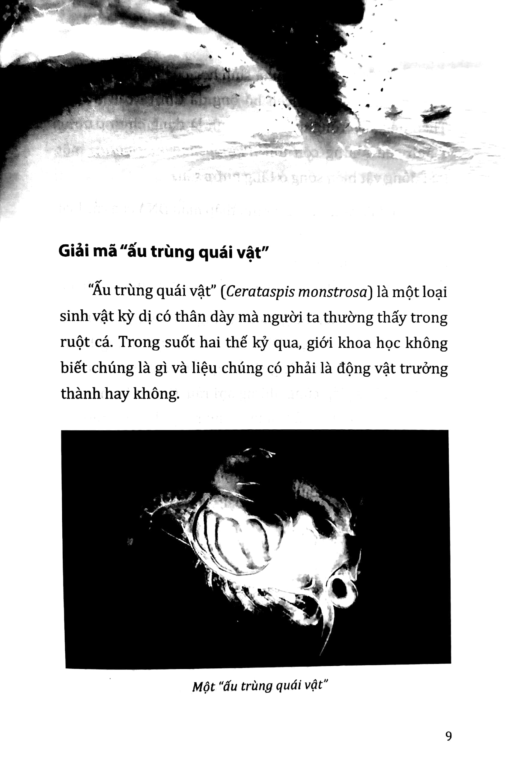 tri thức bách khoa - sự thật về những điều bí ẩn