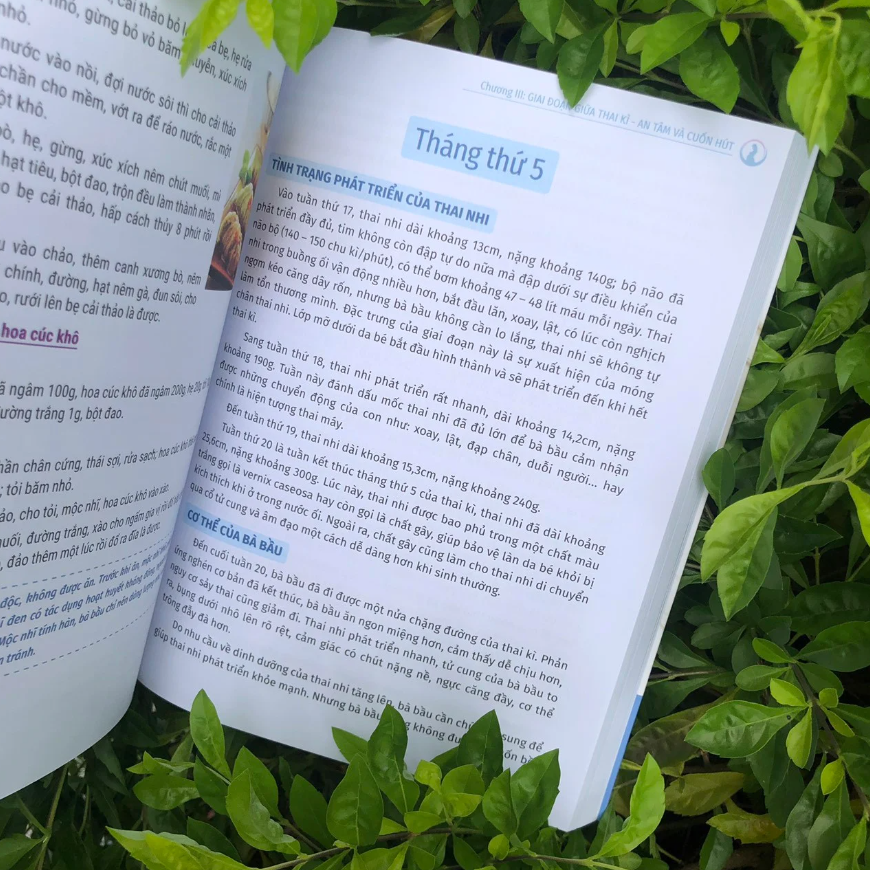 tri thức cho một thai kì khỏe mạnh