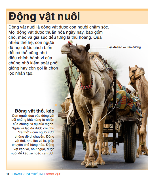 tri thức trong lòng bàn tay - bách khoa thiếu nhi - động vật (bìa cứng) (tái bản 2022)