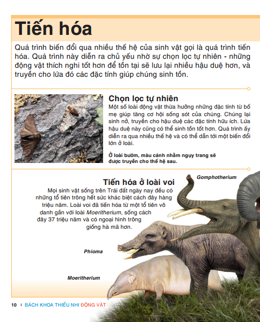 tri thức trong lòng bàn tay - bách khoa thiếu nhi - động vật (bìa cứng) (tái bản 2022)