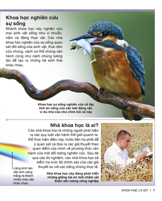 tri thức trong lòng bàn tay - bách khoa thiếu nhi khoa học (tái bản)