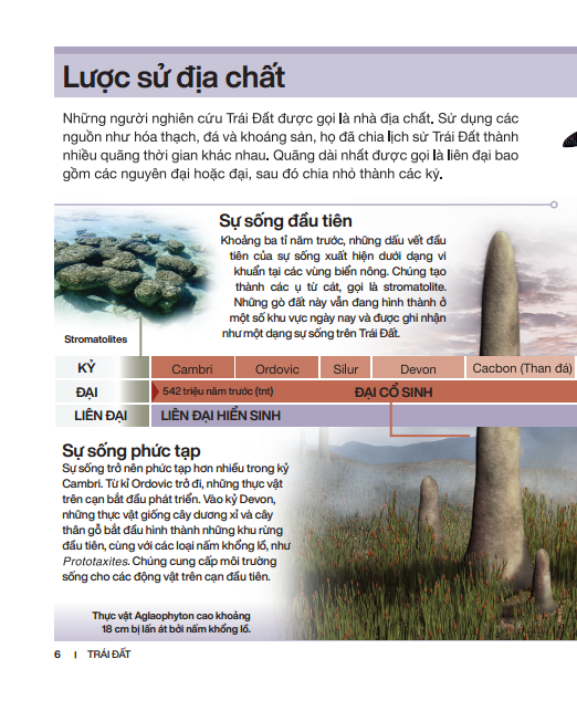 tri thức trong lòng bàn tay - bách khoa thiếu nhi - trái đất (bìa cứng) (tái bản 2022)