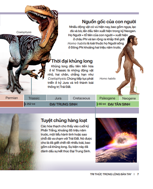 tri thức trong lòng bàn tay - bách khoa thiếu nhi - trái đất (bìa cứng) (tái bản 2022)