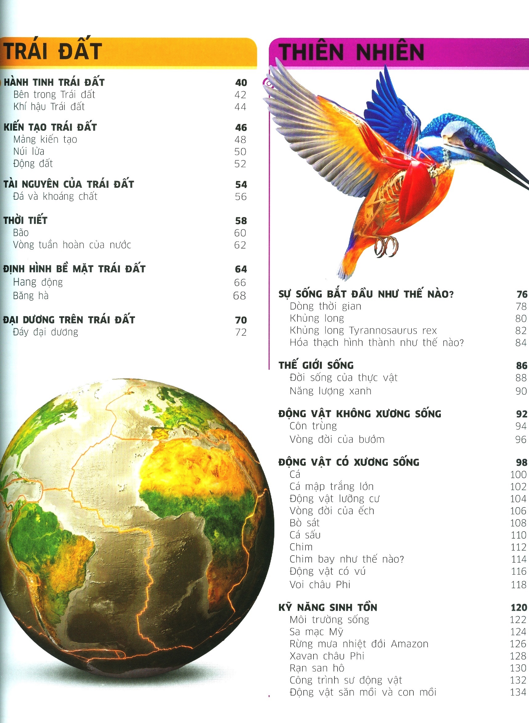 tri thức về vạn vật - một thế giới trực quan chưa từng thấy (tái bản 2023)