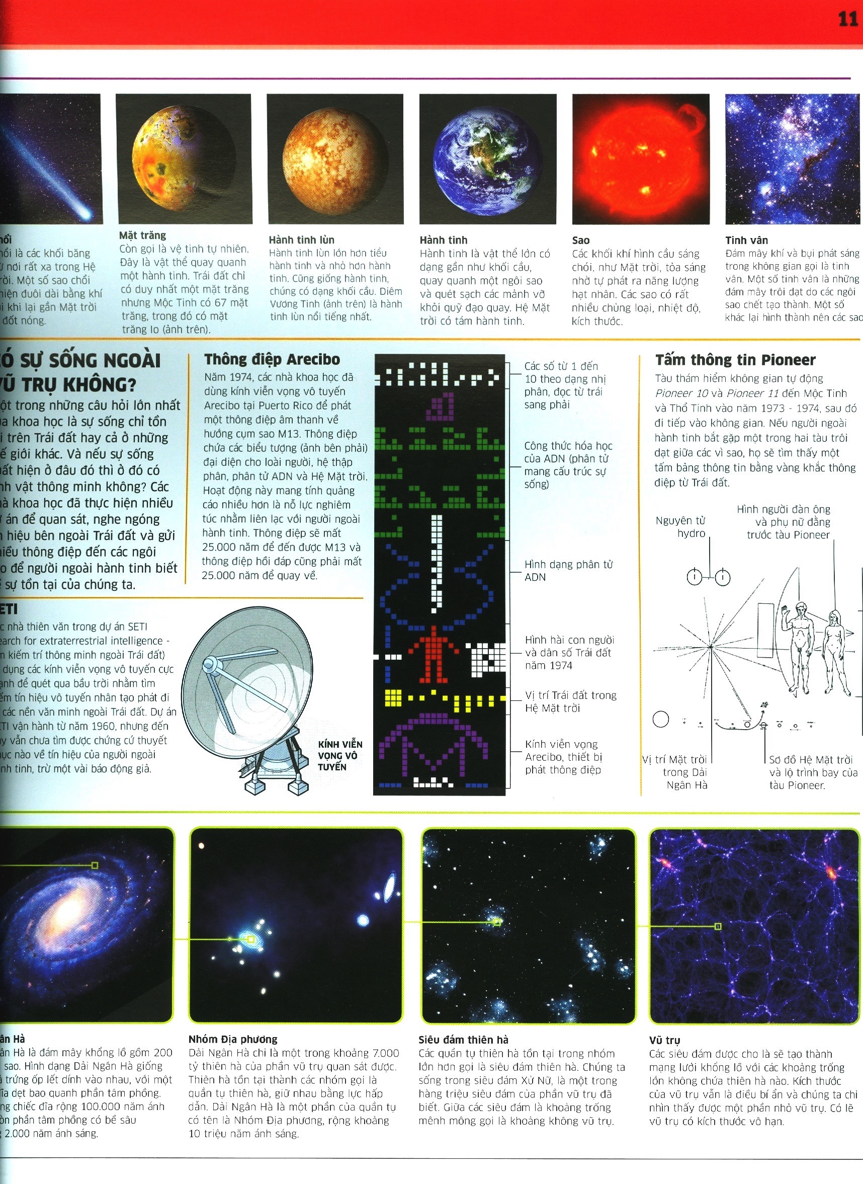 tri thức về vạn vật - một thế giới trực quan chưa từng thấy (tái bản 2023)