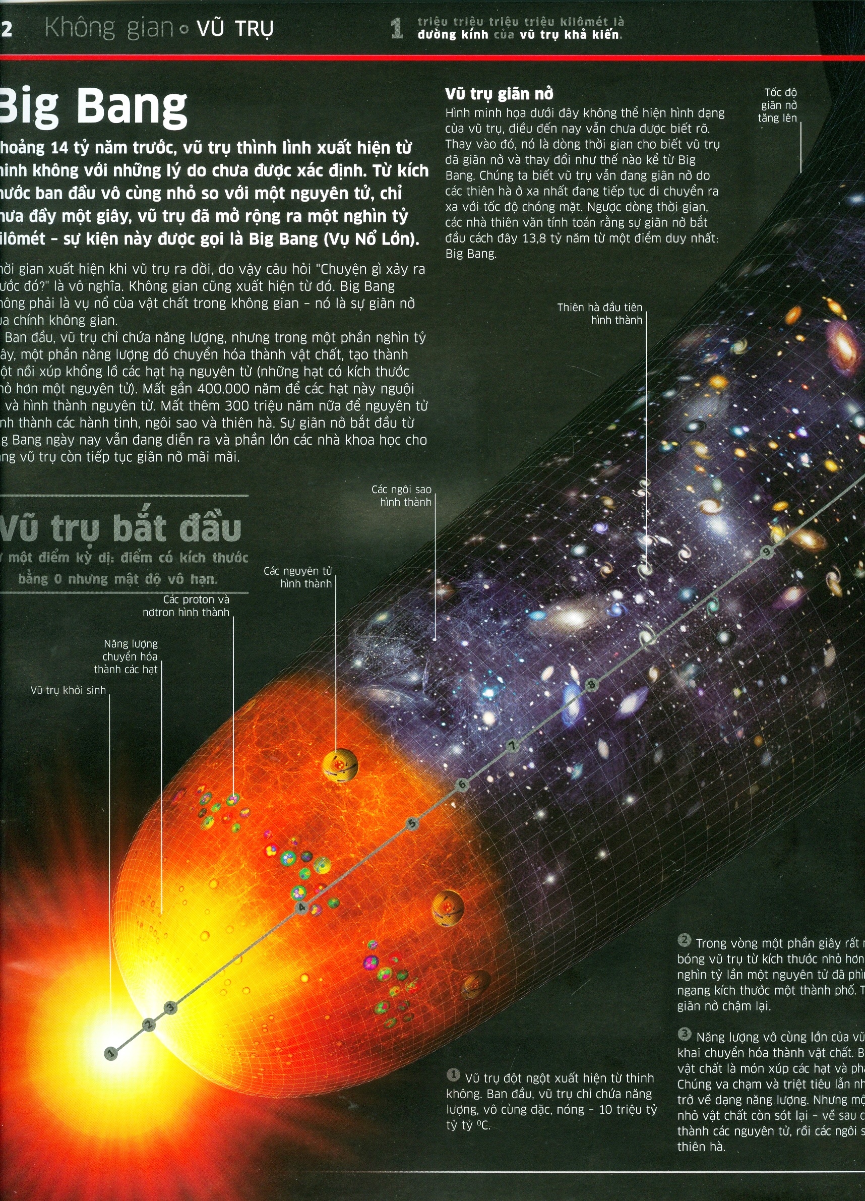 tri thức về vạn vật - một thế giới trực quan chưa từng thấy (tái bản 2023)