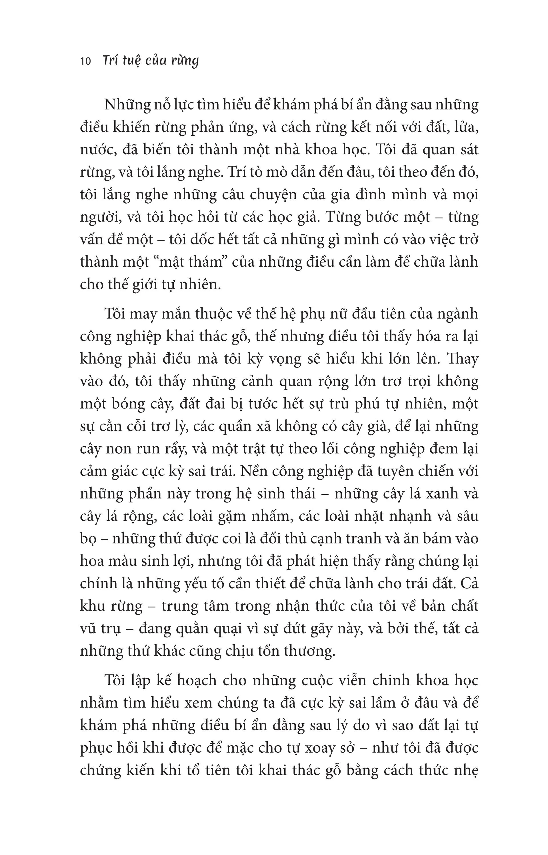 trí tuệ của rừng - khám phá trí thông minh và ngôn ngữ của loài cây