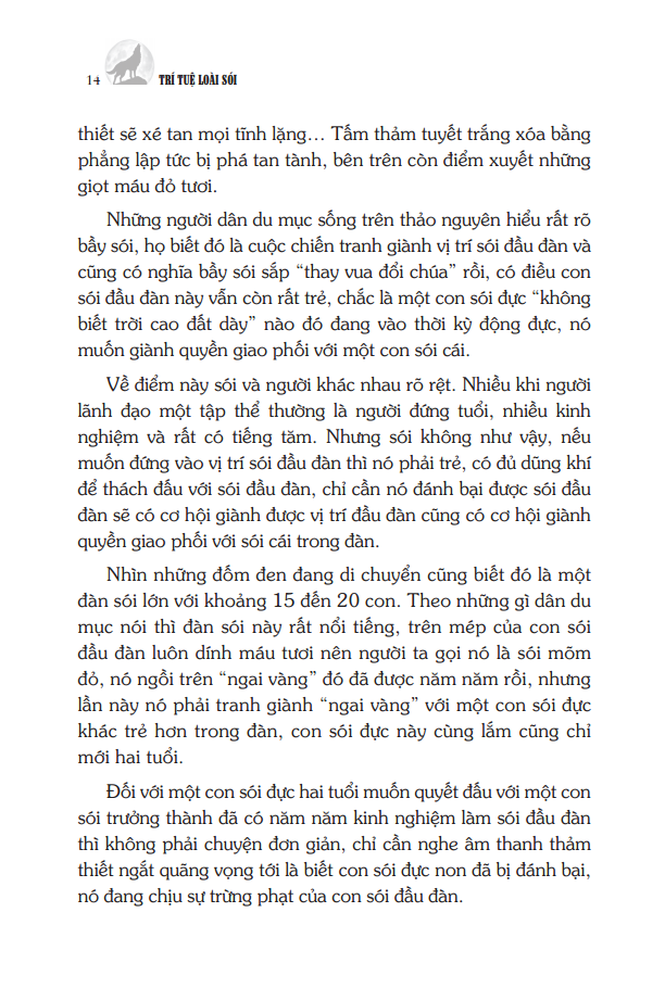 trí tuệ loại sói (tái bản)