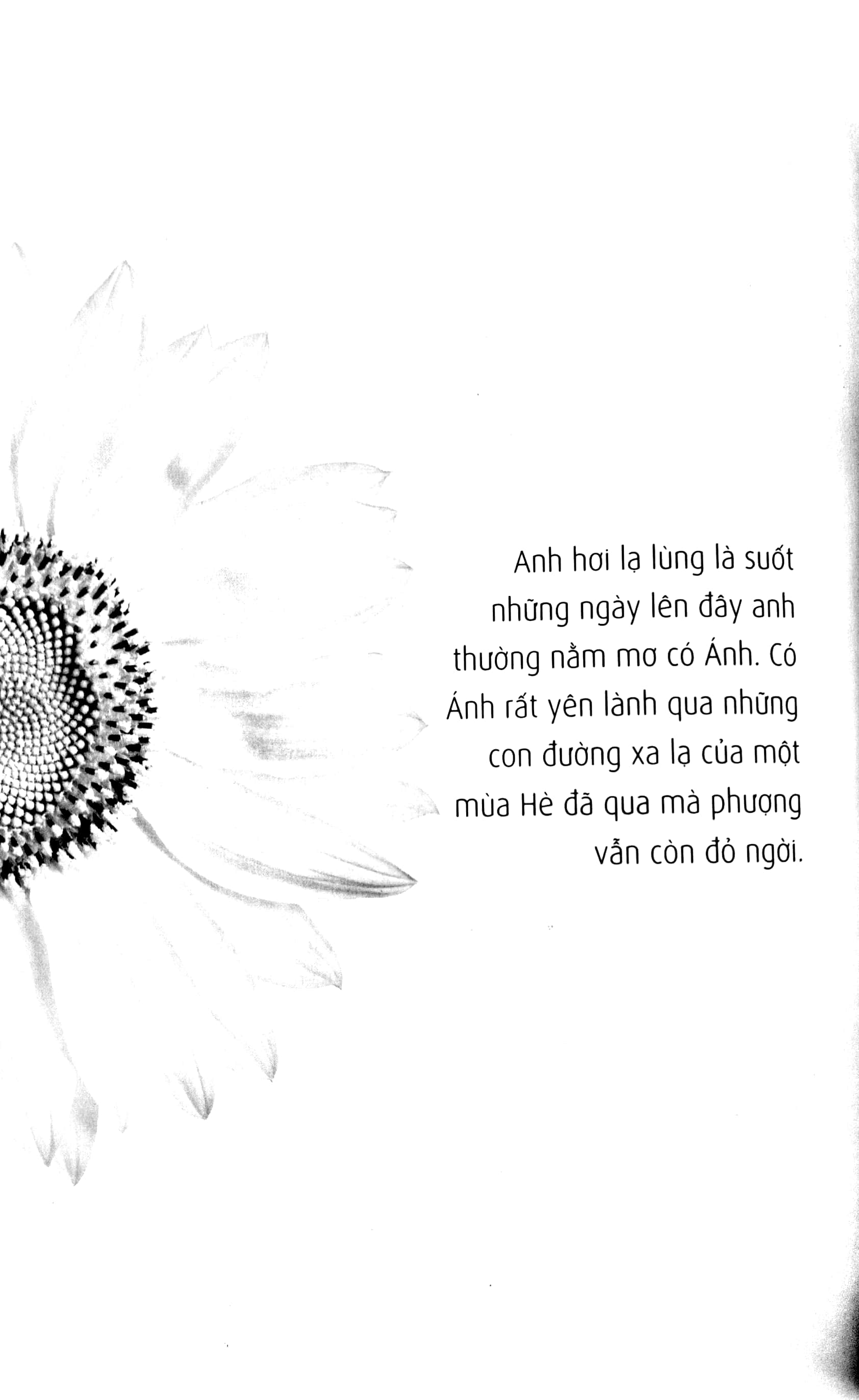 trịnh công sơn - thư tình gửi một người