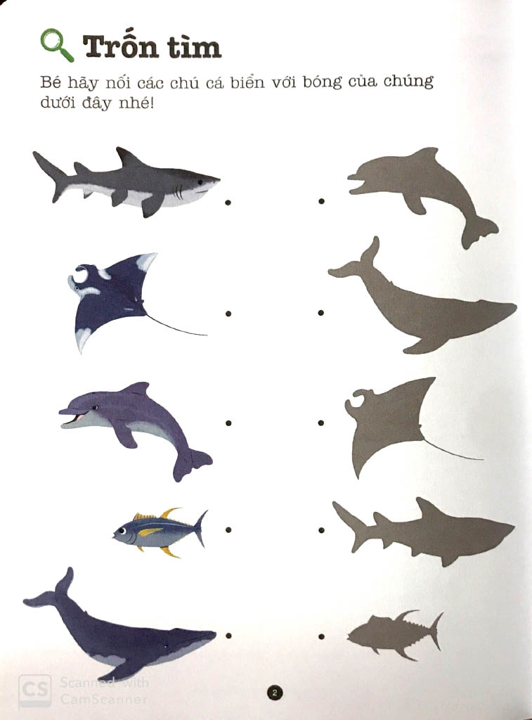 trò chơi phát triển trí tuệ - biển khơi