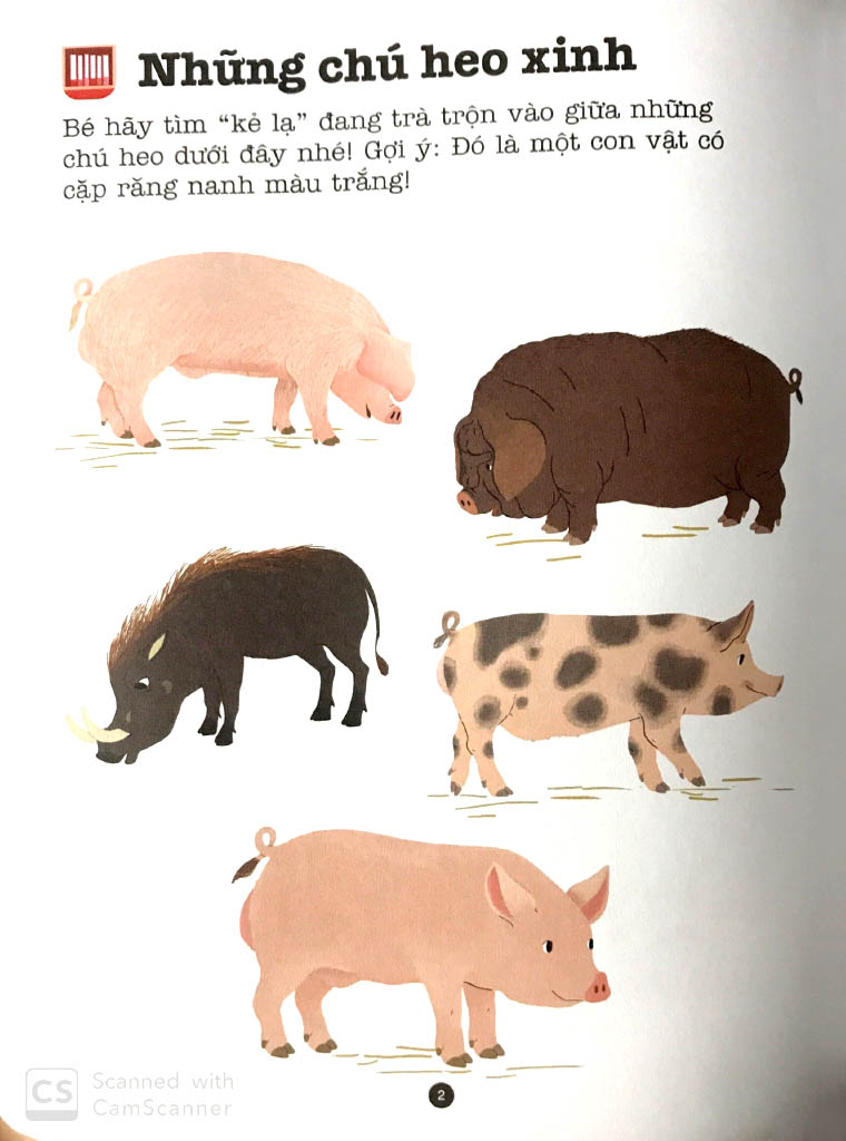 trò chơi phát triển trí tuệ - vườn bách thú