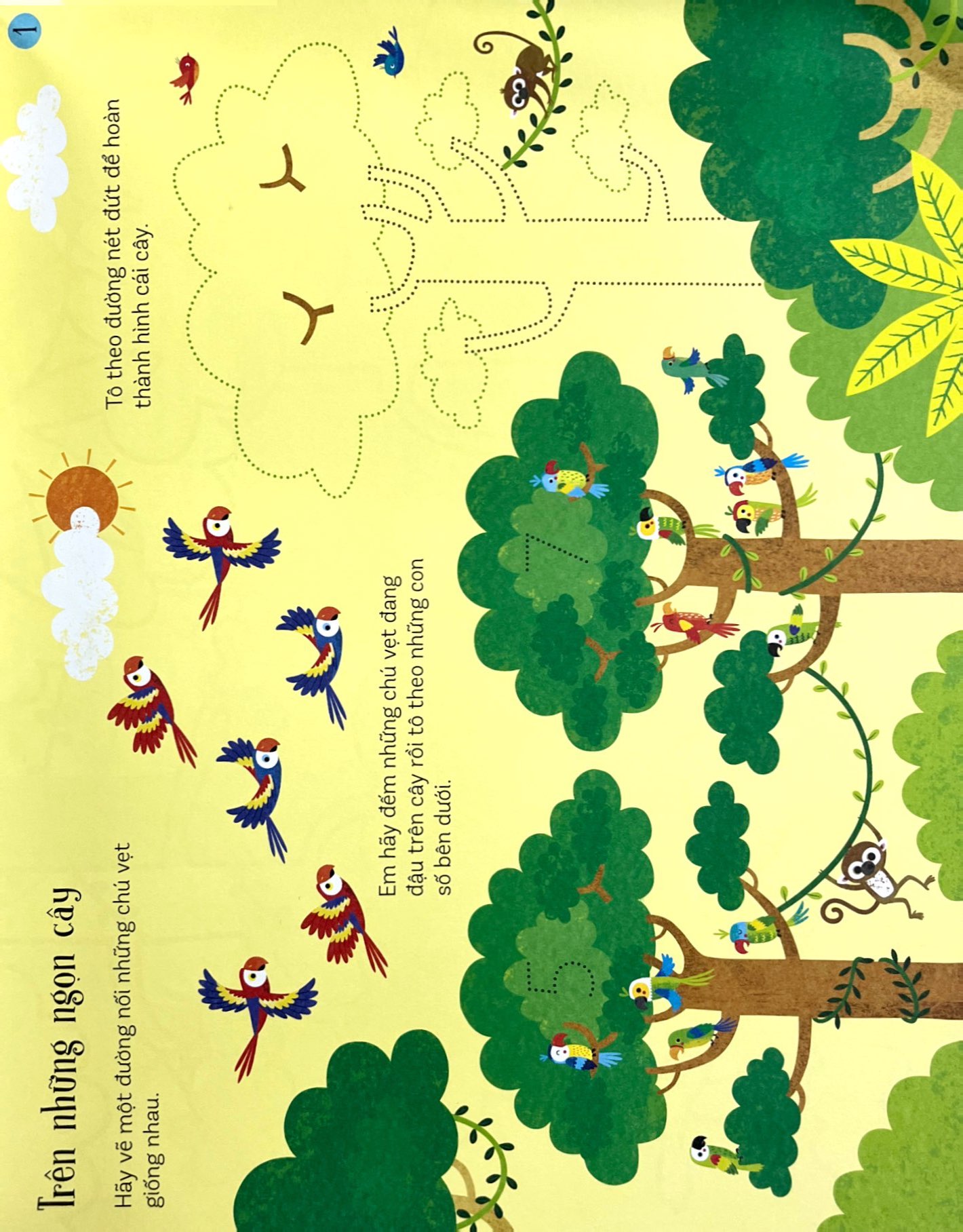 trò chơi phát triển tư duy - khám phá rừng xanh