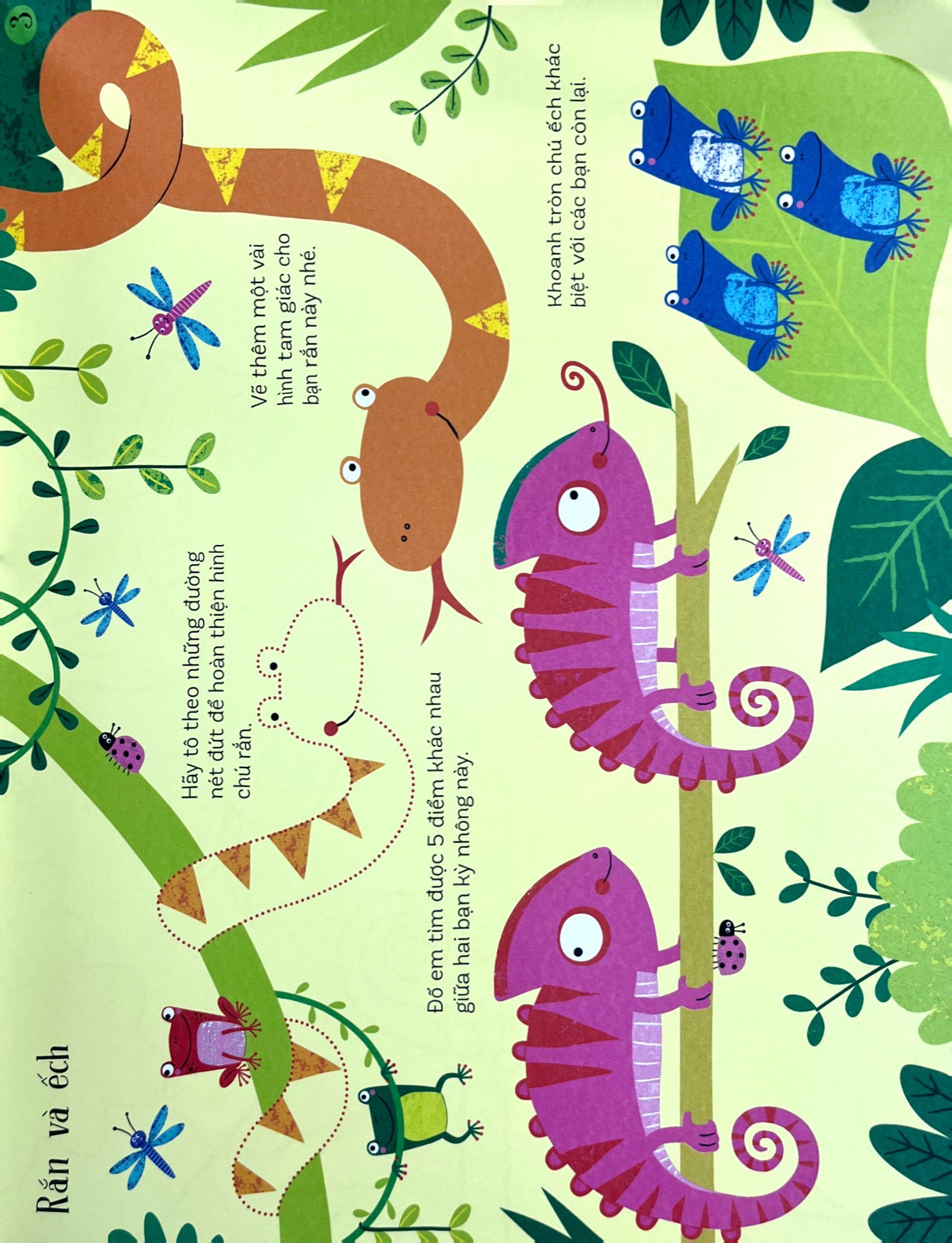 trò chơi phát triển tư duy - khám phá rừng xanh