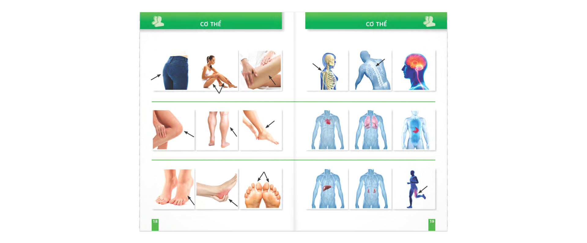 trò chuyện khi đi du lịch 100% bằng hình