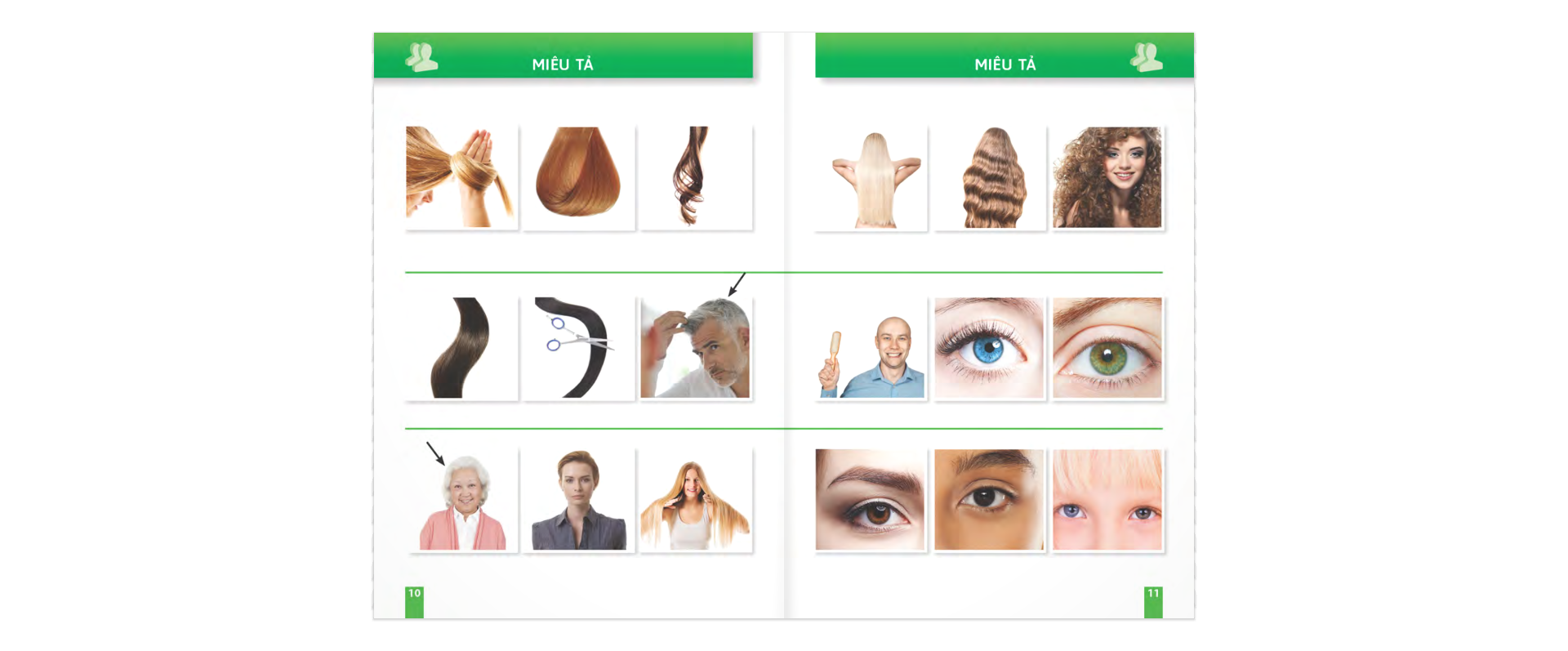 trò chuyện khi đi du lịch 100% bằng hình