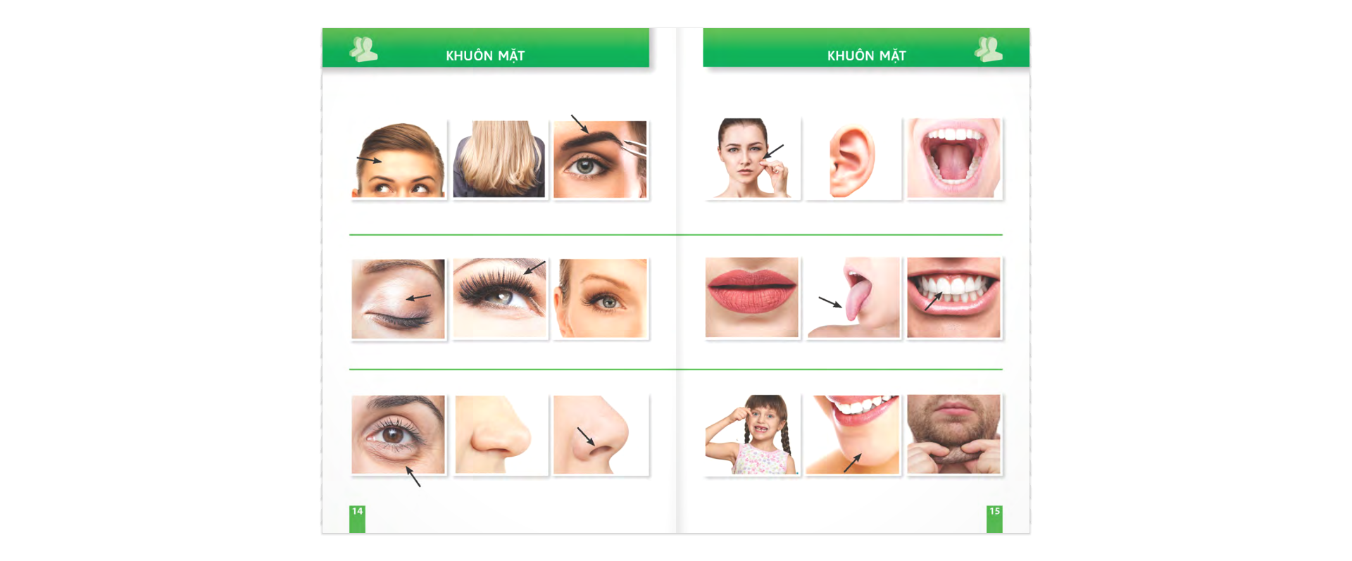 trò chuyện khi đi du lịch 100% bằng hình