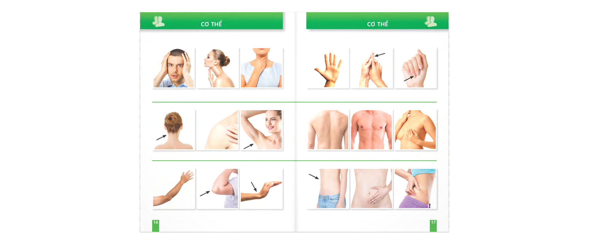 trò chuyện khi đi du lịch 100% bằng hình