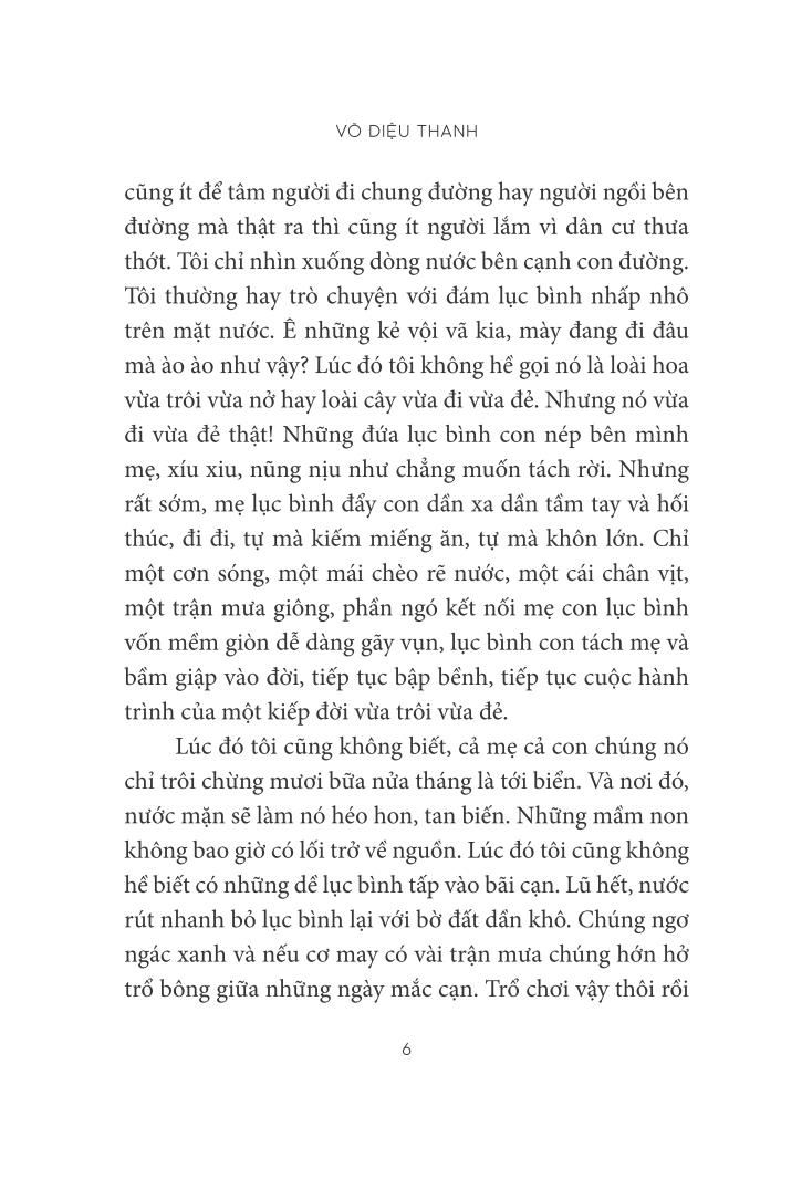 trò chuyện với lục bình