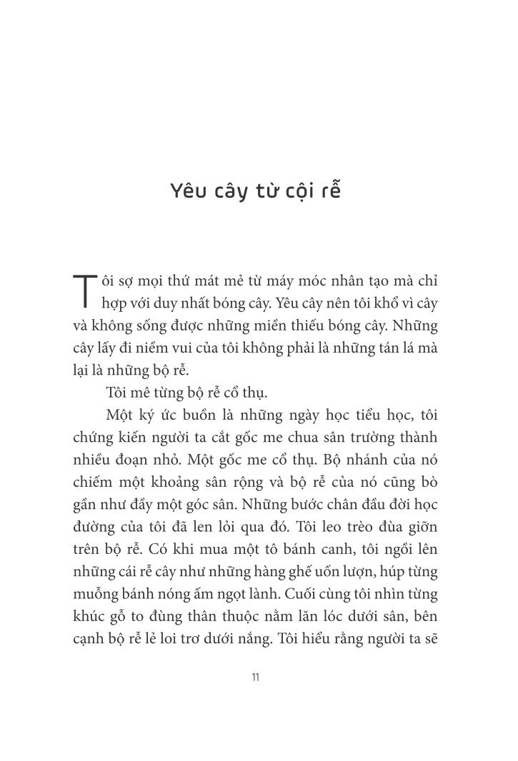 trò chuyện với lục bình