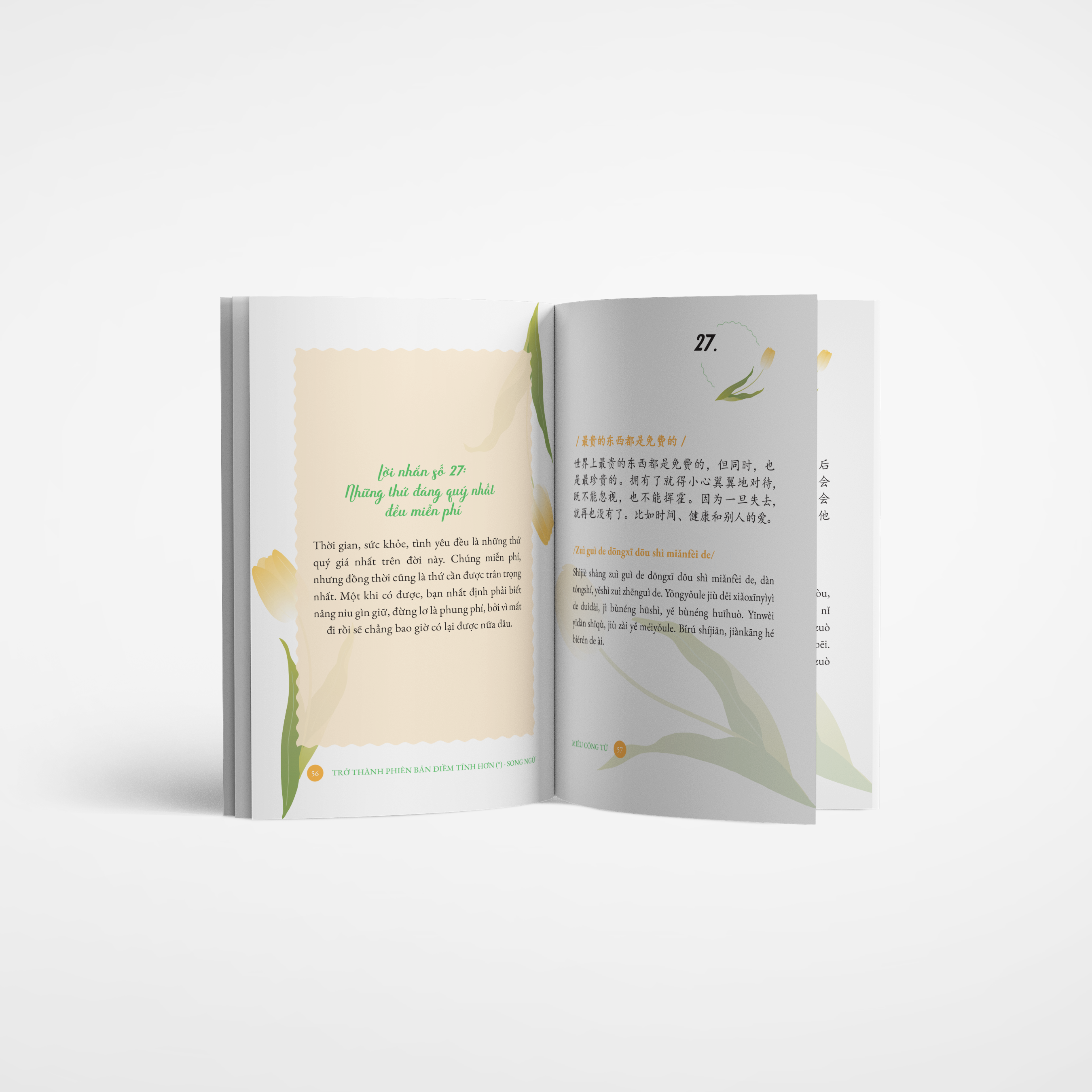 trở thành phiên bản điềm tĩnh hơn - phiên bản song ngữ trung-việt