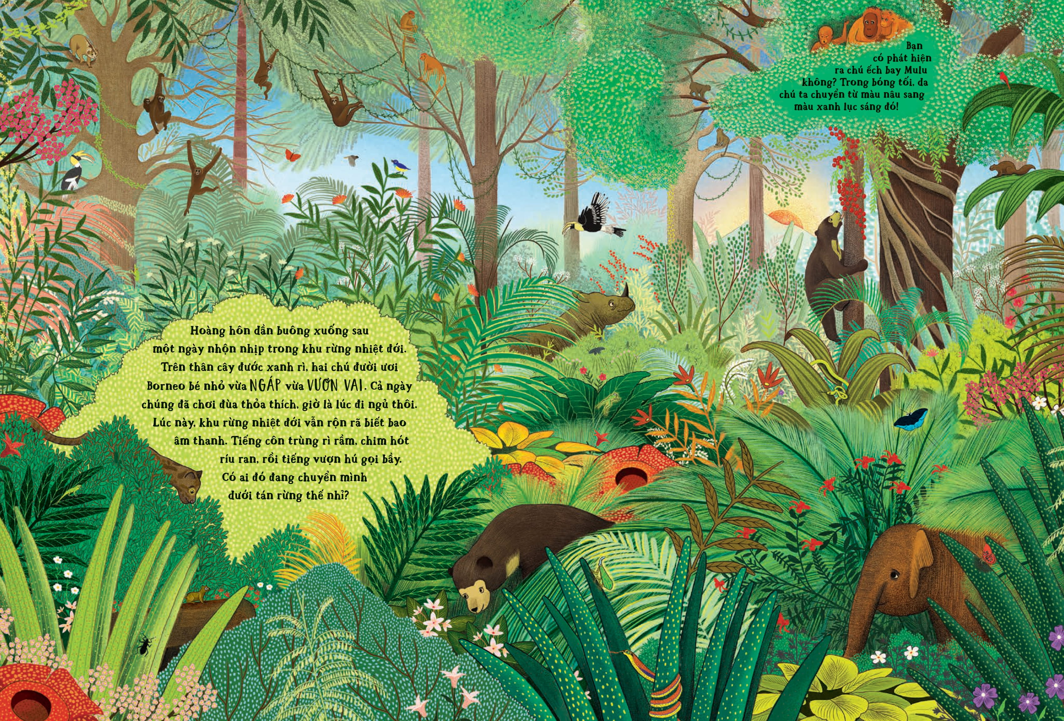 Trốn Tìm Cùng Thiên Nhiên - Bí Ẩn Rừng Xanh