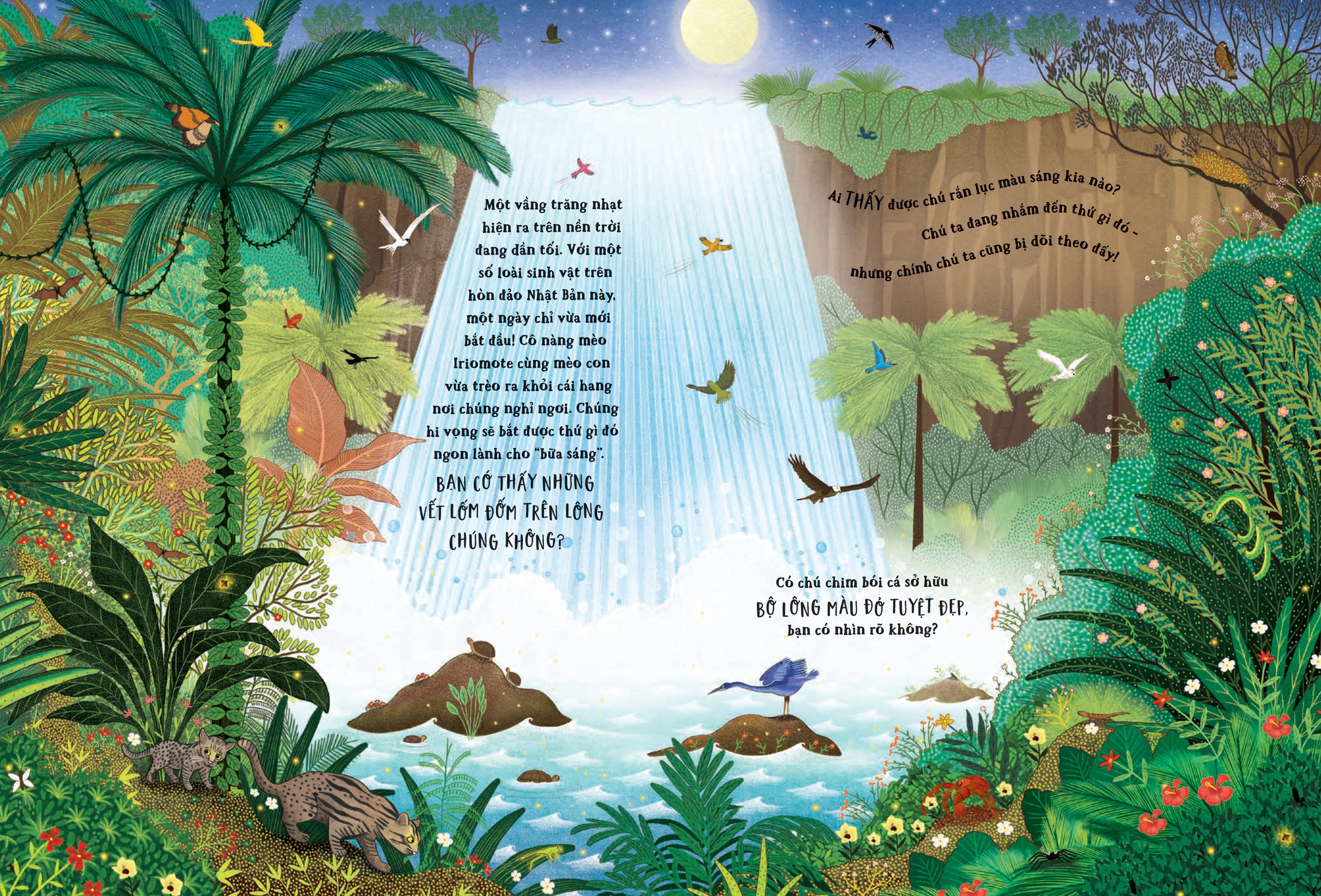 Trốn Tìm Cùng Thiên Nhiên - Bí Ẩn Rừng Xanh