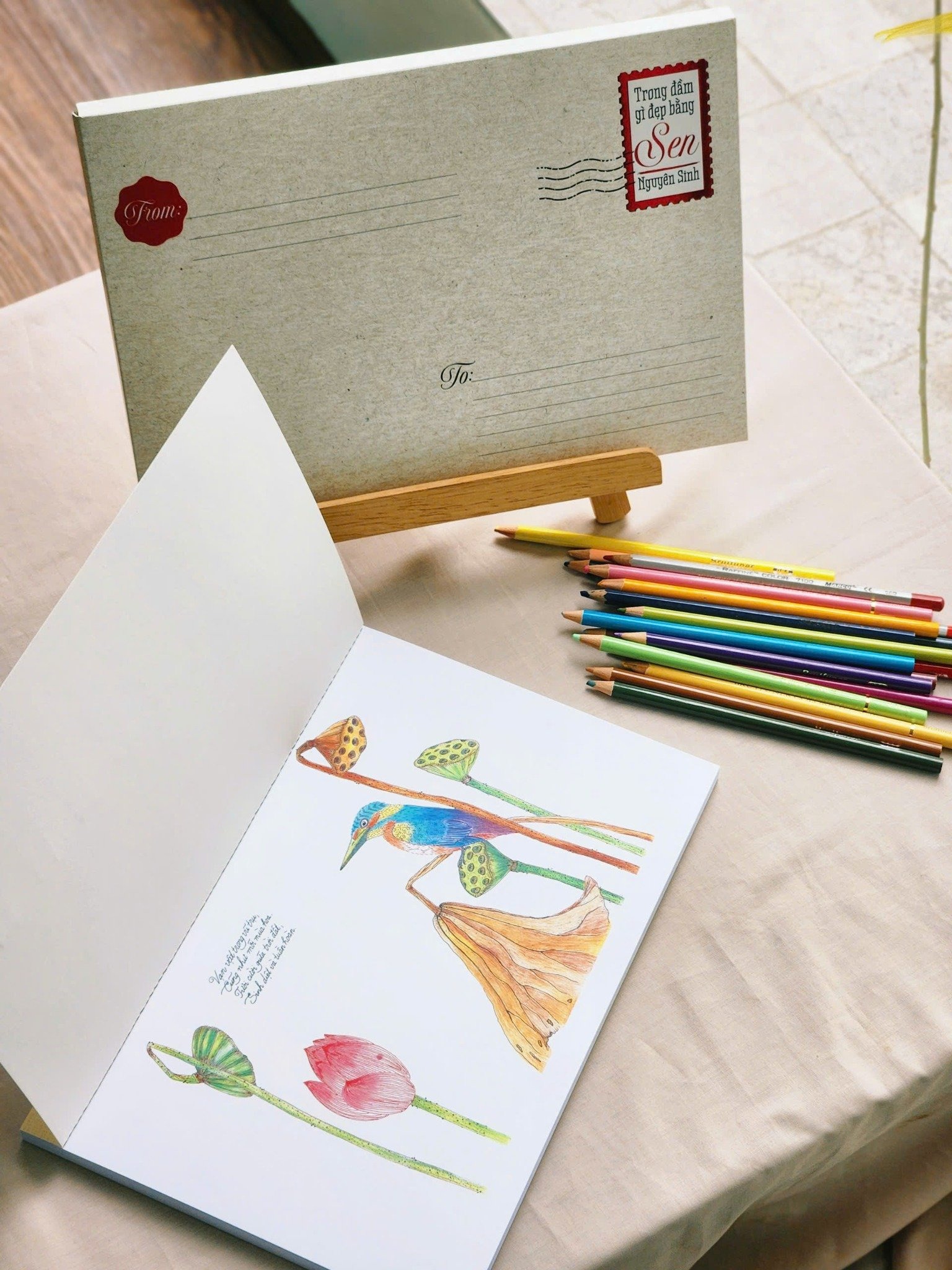 trong đầm gì đẹp bằng sen - sách tô màu