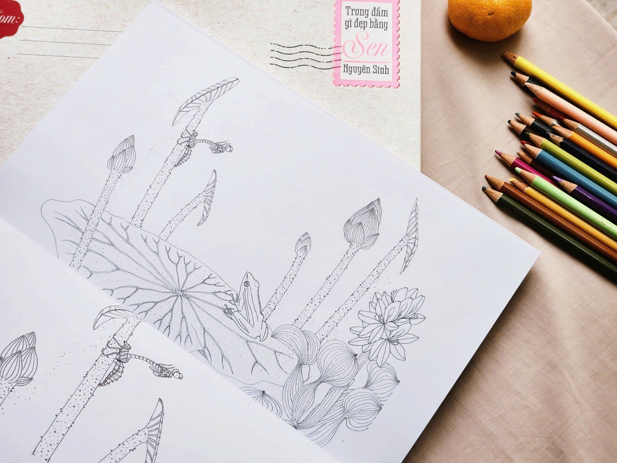 trong đầm gì đẹp bằng sen - sách tô màu