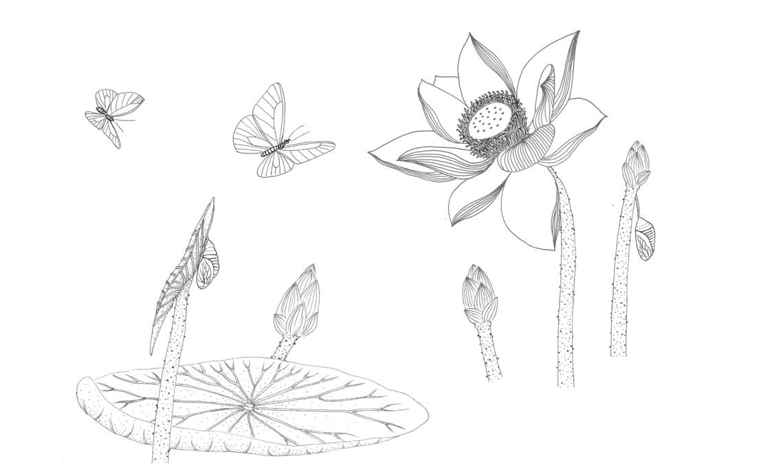 trong đầm gì đẹp bằng sen - sách tô màu