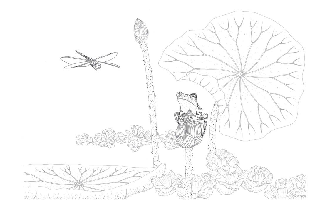 trong đầm gì đẹp bằng sen - sách tô màu