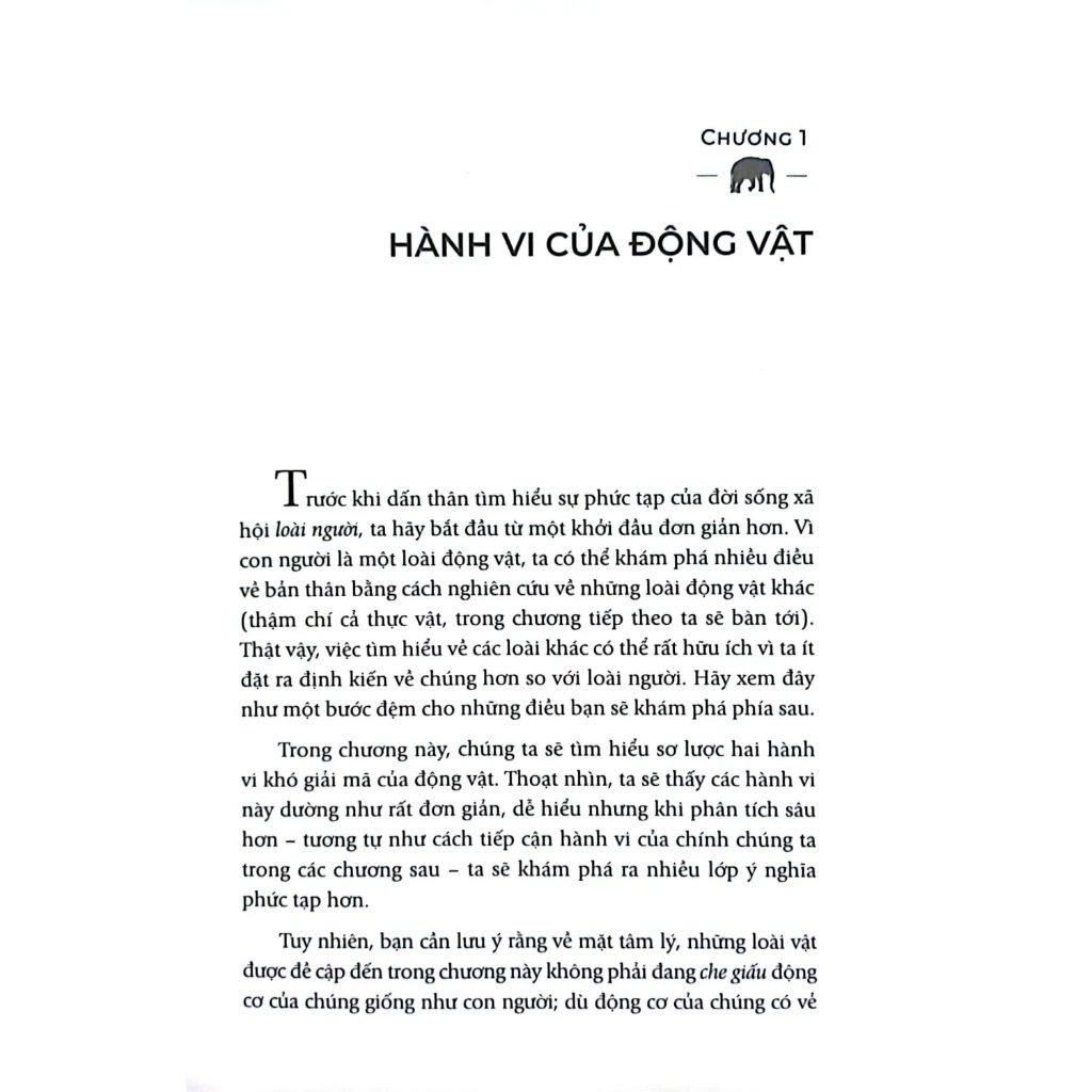 trong đầu có giấu con voi - the elephant in the brain