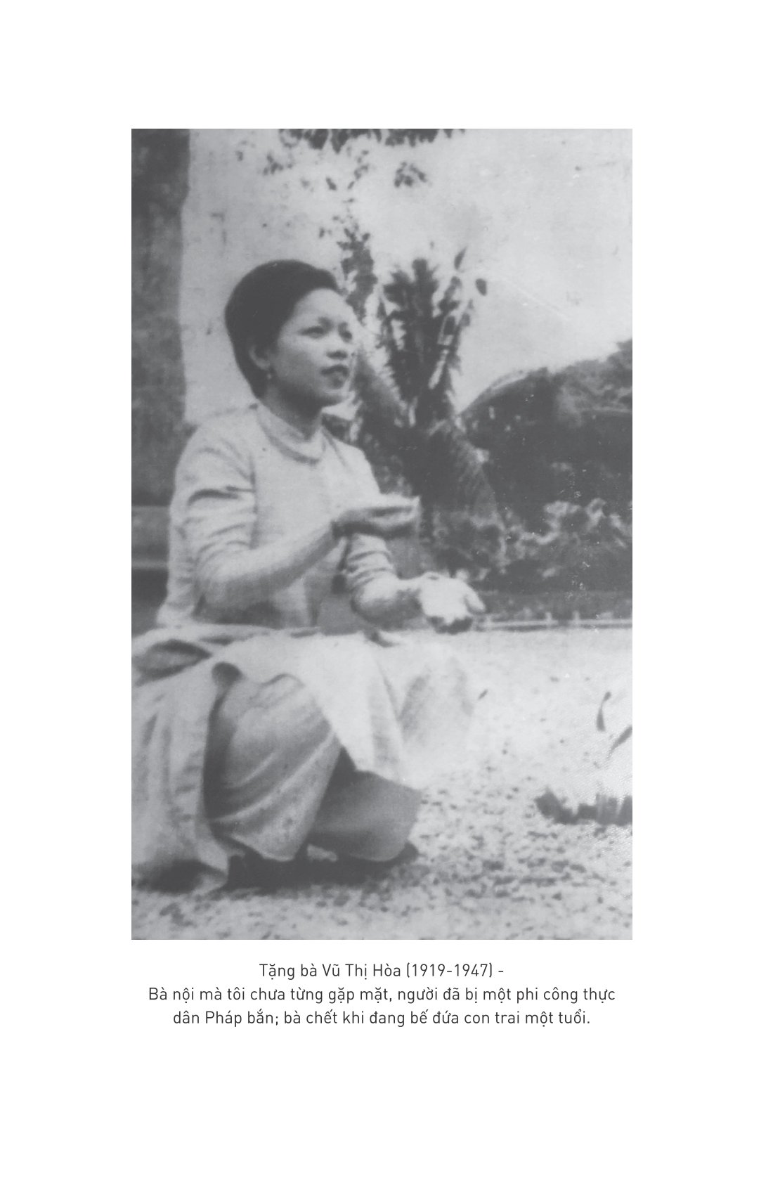 trống đồng - tiểu thuyết lịch sử về hai bà trưng