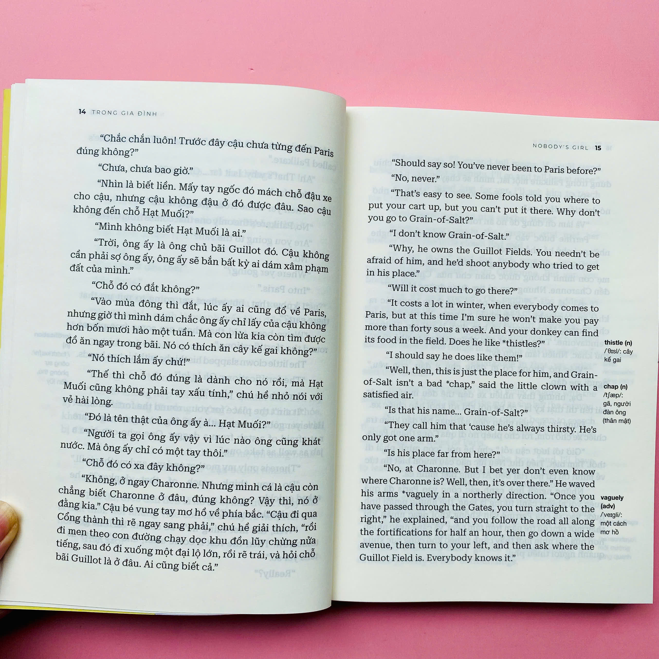 Trong Gia Dinh - Nobody's Girl - Song Ngu Anh-Viet