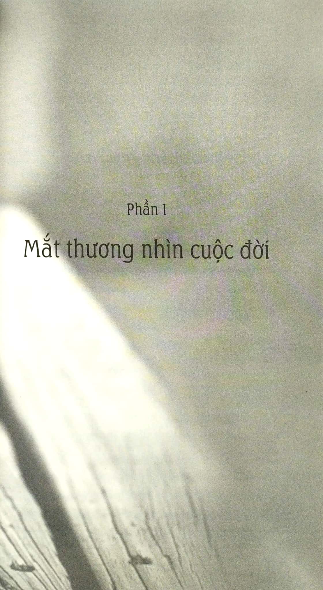 trồng hoa không cho mọc rễ (tái bản 2018)