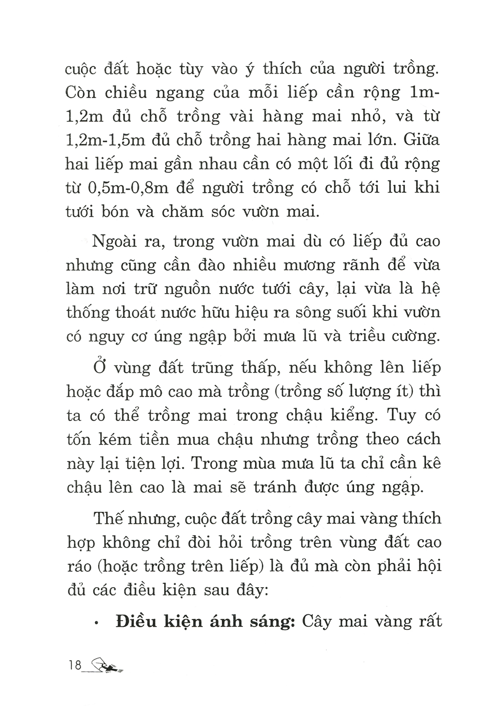 trồng mai - kỹ thuật bón tưới, phòng trừ sâu rầy, bệnh hại
