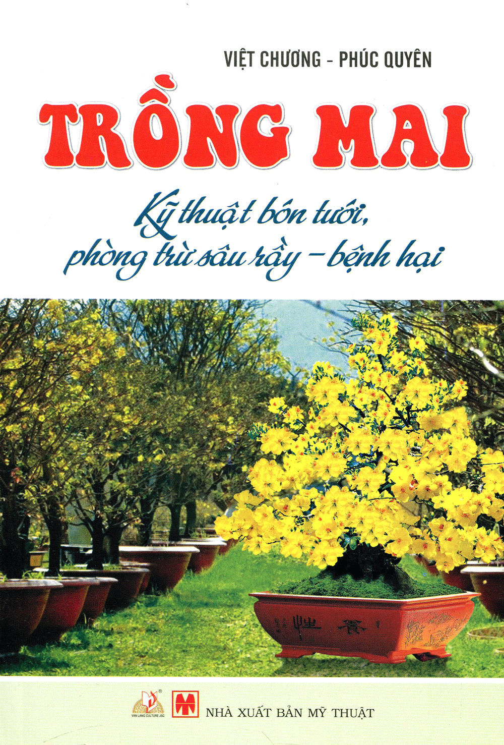 trồng mai - kỹ thuật bón tưới, phòng trừ sâu rầy, bệnh hại
