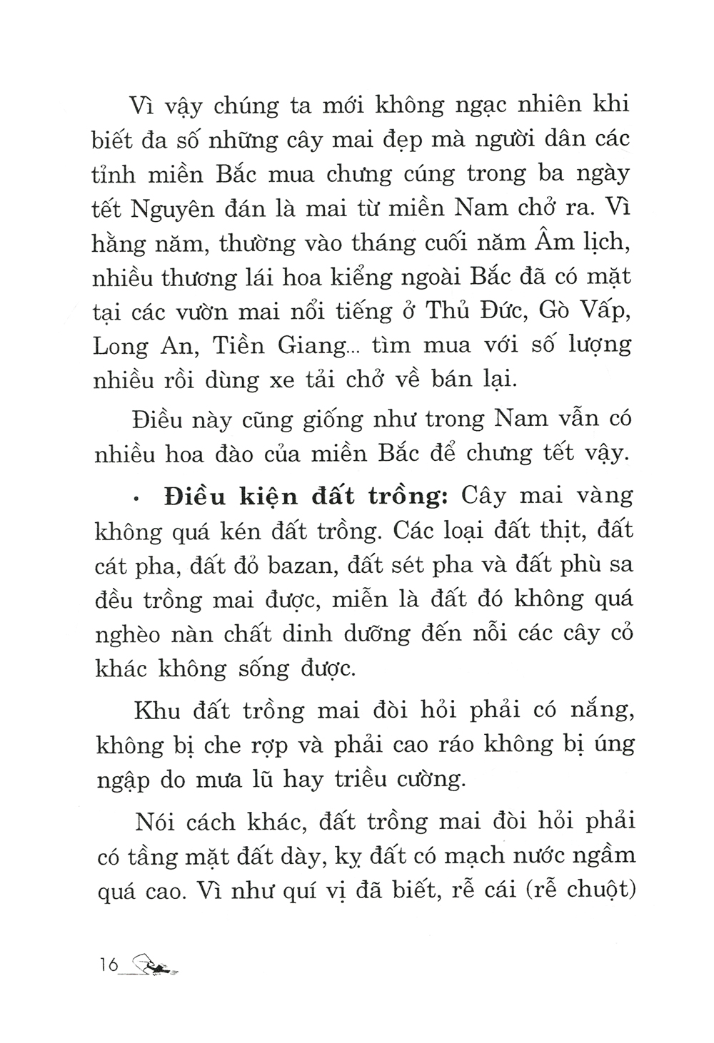 trồng mai - kỹ thuật bón tưới, phòng trừ sâu rầy, bệnh hại