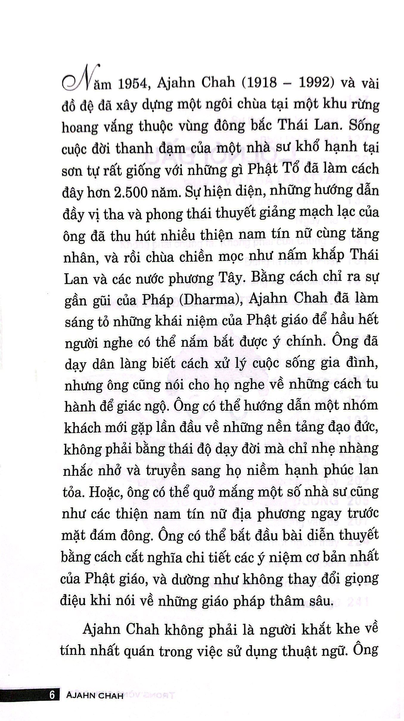 trong vòng sinh diệt (tái bản 2023)