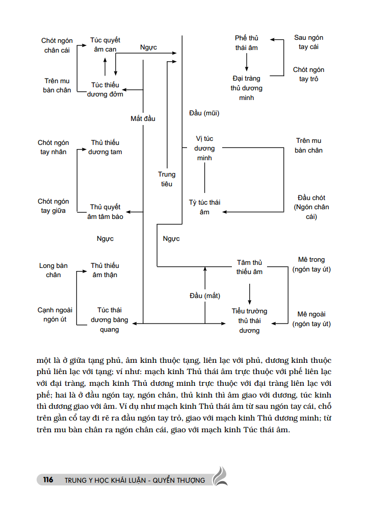 trung y học khái luận (quyển thượng )