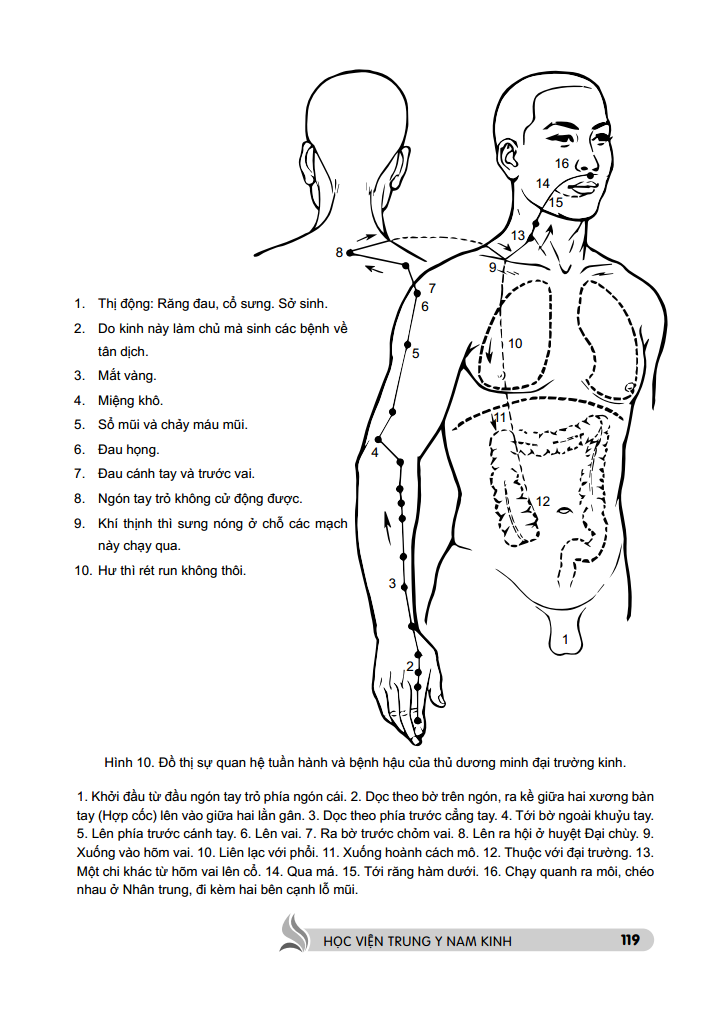 trung y học khái luận (quyển thượng )